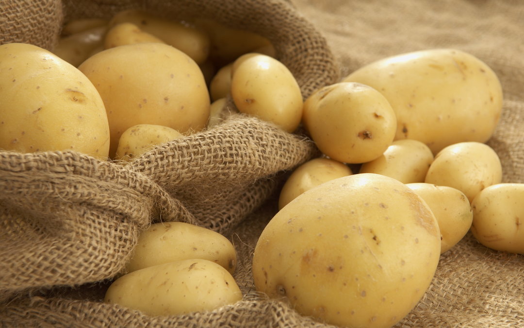 Украина увеличила экспорт картошки практически в 3 раза