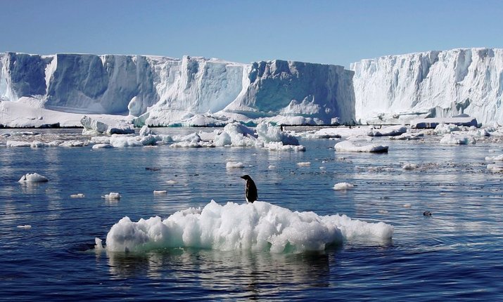 Большинство желающих участвовать в антарктической экспедиции — сисадмины