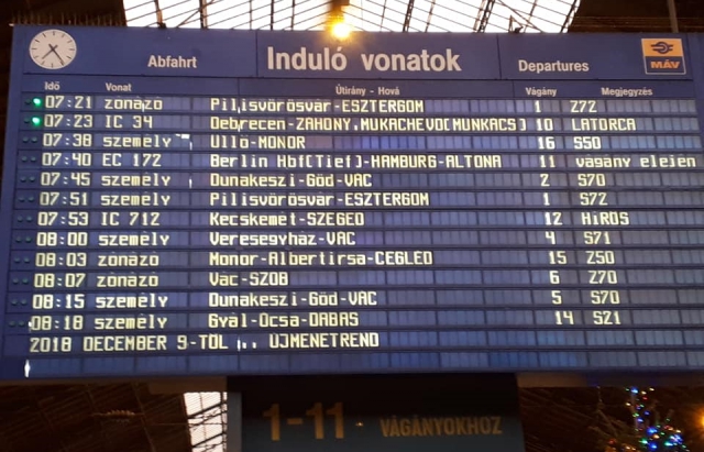 Поезд Мукачево — Будапешт отправился в первый рейс (фото)